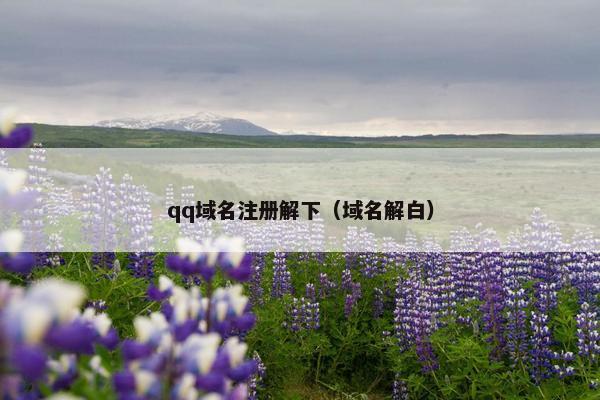 qq域名注册解下（域名解白）