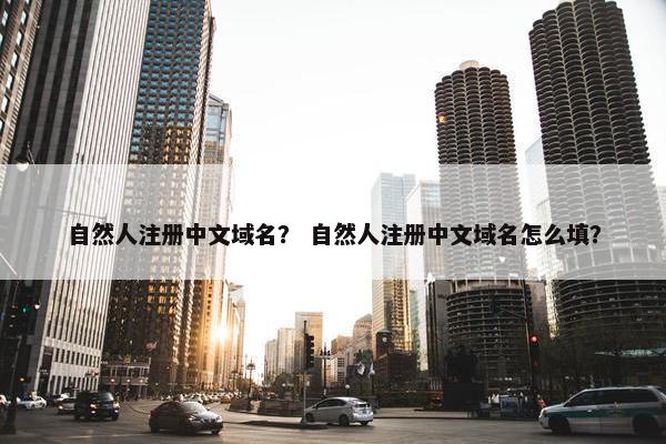 自然人注册中文域名？ 自然人注册中文域名怎么填？