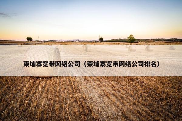 柬埔寨宽带网络公司（柬埔寨宽带网络公司排名）