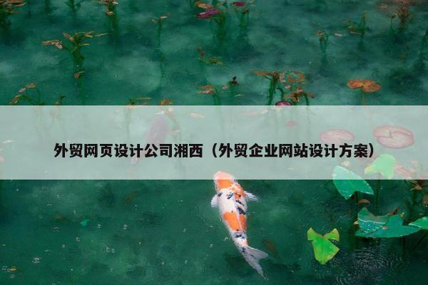 外贸网页设计公司湘西（外贸企业网站设计方案）
