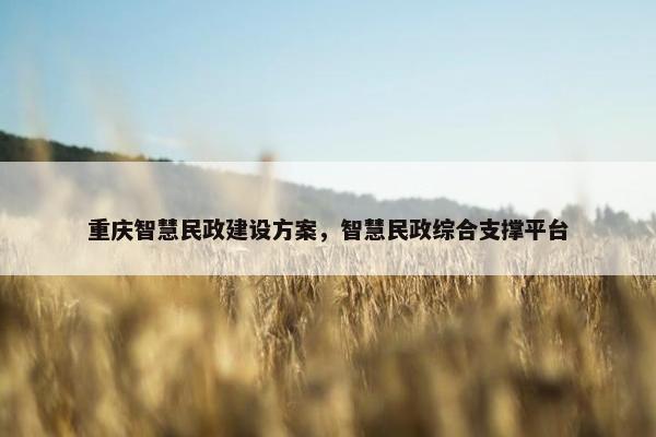 重庆智慧民政建设方案，智慧民政综合支撑平台