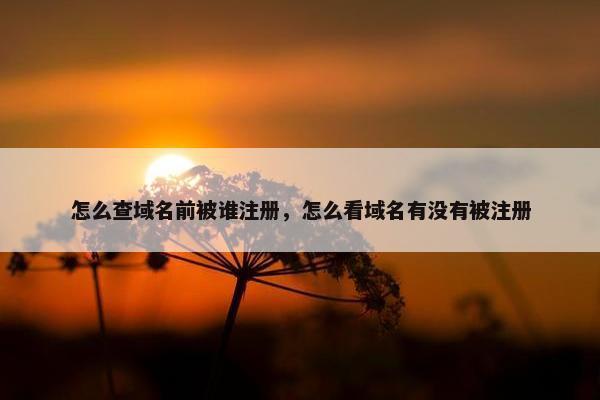 怎么查域名前被谁注册，怎么看域名有没有被注册