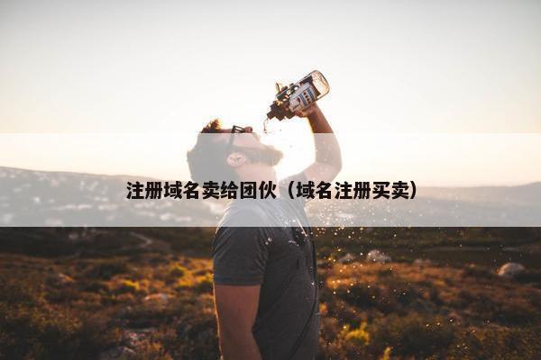 注册域名卖给团伙（域名注册买卖）