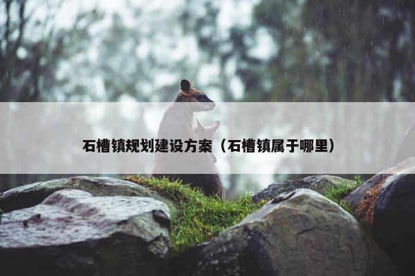 石槽镇规划建设方案（石槽镇属于哪里）