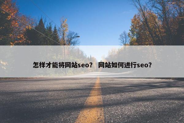 怎样才能将网站seo？ 网站如何进行seo？