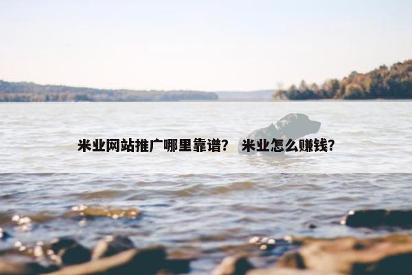 米业网站推广哪里靠谱？ 米业怎么赚钱？