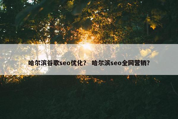 哈尔滨谷歌seo优化？ 哈尔滨seo全网营销？