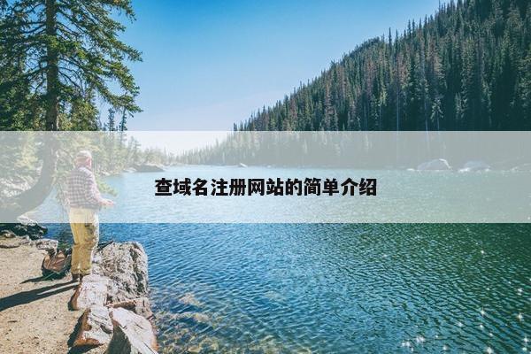 查域名注册网站的简单介绍