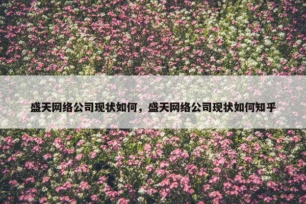 盛天网络公司现状如何，盛天网络公司现状如何知乎