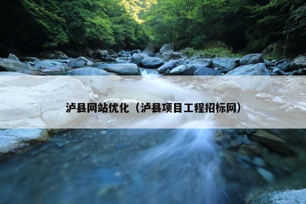 泸县网站优化（泸县项目工程招标网）