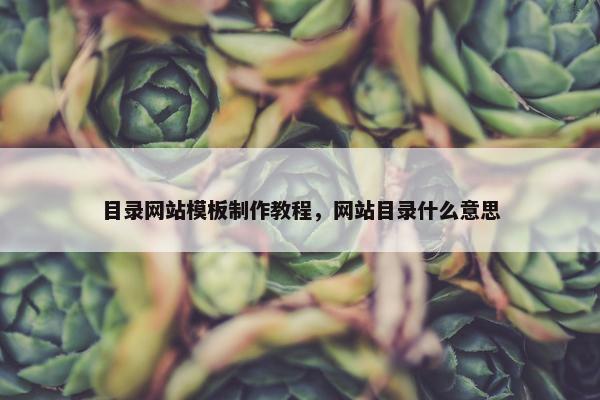 目录网站模板制作教程，网站目录什么意思