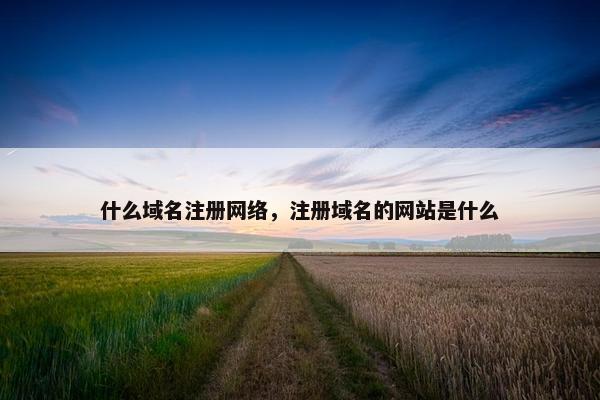 什么域名注册网络，注册域名的网站是什么