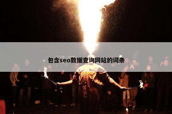 包含seo数据查询网站的词条
