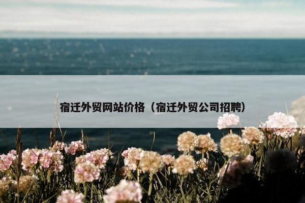 宿迁外贸网站价格（宿迁外贸公司招聘）