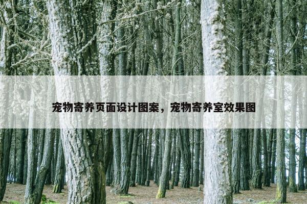 宠物寄养页面设计图案，宠物寄养室效果图