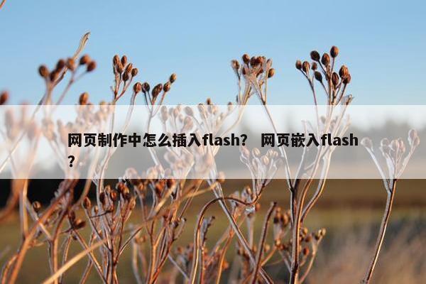 网页制作中怎么插入flash？ 网页嵌入flash？