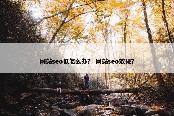 网站seo低怎么办？ 网站seo效果？