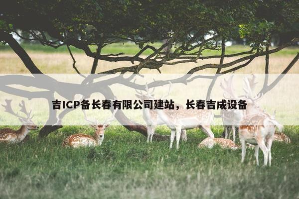 吉ICP备长春有限公司建站，长春吉成设备