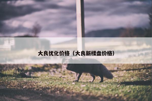 大良优化价格（大良新楼盘价格）