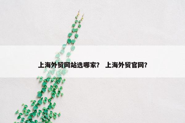 上海外贸网站选哪家？ 上海外贸官网？