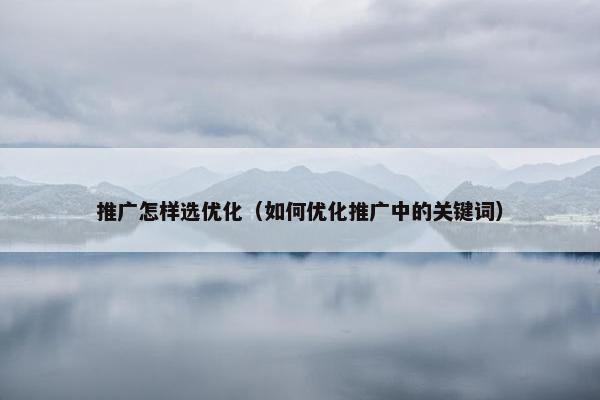 推广怎样选优化（如何优化推广中的关键词）