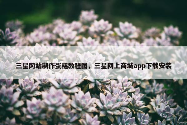 三星网站制作蛋糕教程图，三星网上商城app下载安装