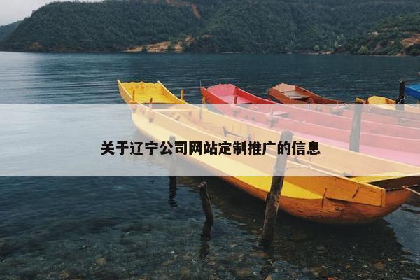 关于辽宁公司网站定制推广的信息