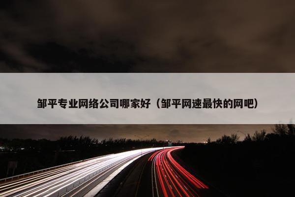 邹平专业网络公司哪家好（邹平网速最快的网吧）