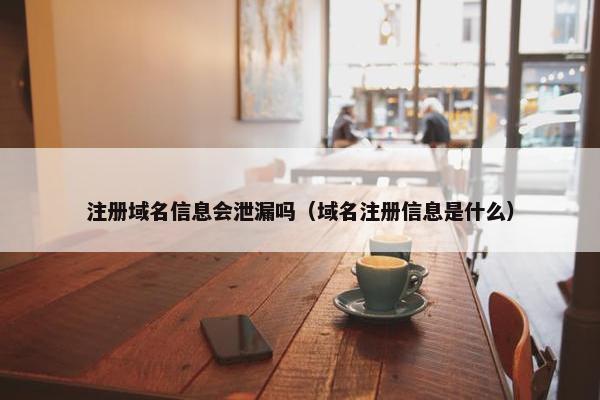 注册域名信息会泄漏吗（域名注册信息是什么）