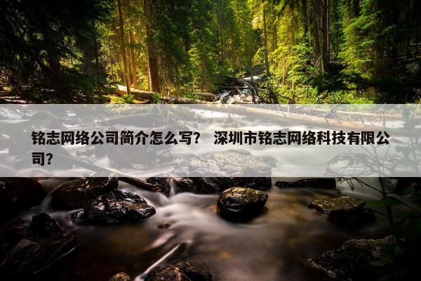 铭志网络公司简介怎么写？ 深圳市铭志网络科技有限公司？