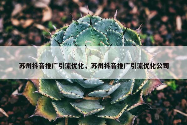 苏州抖音推广引流优化，苏州抖音推广引流优化公司