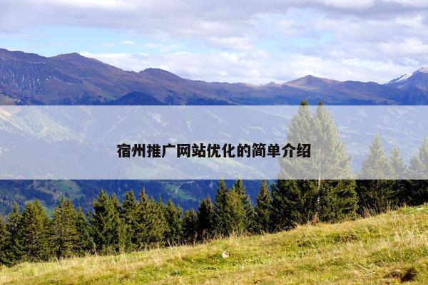 宿州推广网站优化的简单介绍