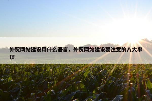 外贸网站建设用什么语言，外贸网站建设要注意的八大事项