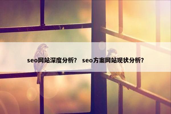 seo网站深度分析？ seo方案网站现状分析？