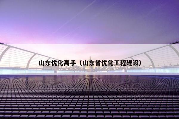 山东优化高手（山东省优化工程建设）