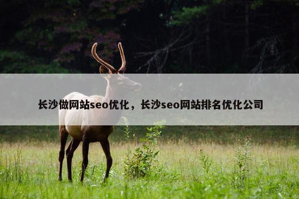 长沙做网站seo优化，长沙seo网站排名优化公司