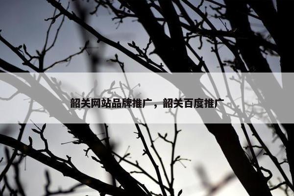 韶关网站品牌推广，韶关百度推广