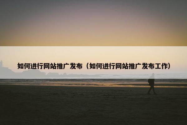 如何进行网站推广发布（如何进行网站推广发布工作）
