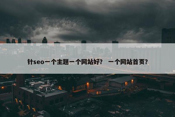 针seo一个主题一个网站好？ 一个网站首页？