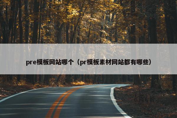pre模板网站哪个（pr模板素材网站都有哪些）