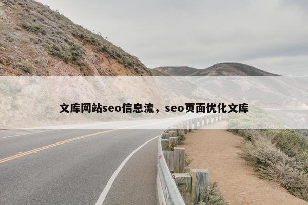 文库网站seo信息流，seo页面优化文库