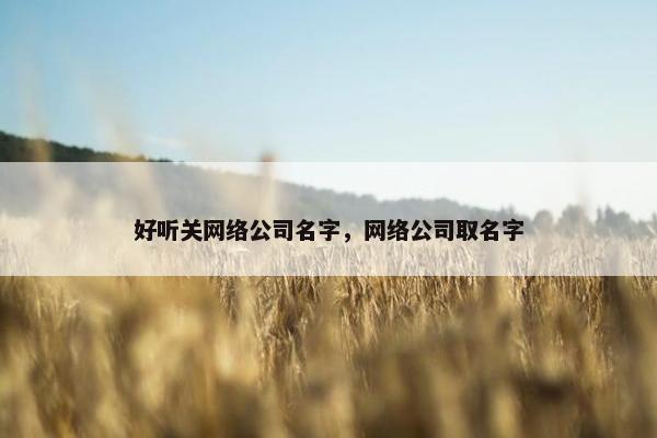 好听关网络公司名字，网络公司取名字