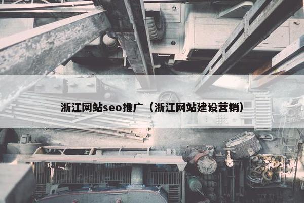 浙江网站seo推广（浙江网站建设营销）