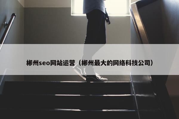 郴州seo网站运营（郴州最大的网络科技公司）