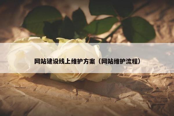 网站建设线上维护方案（网站维护流程）