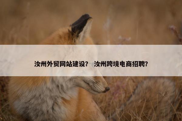汝州外贸网站建设？ 汝州跨境电商招聘？