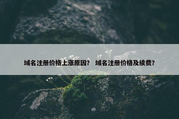 域名注册价格上涨原因？ 域名注册价格及续费？
