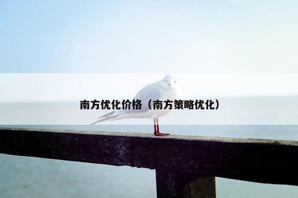 南方优化价格（南方策略优化）