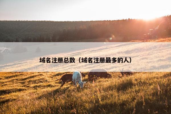 域名注册总数（域名注册最多的人）