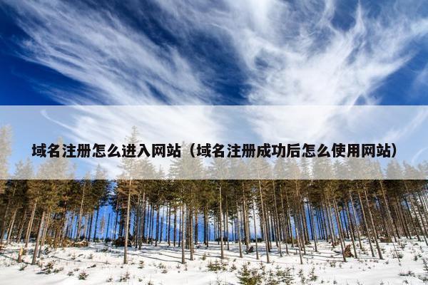 域名注册怎么进入网站（域名注册成功后怎么使用网站）